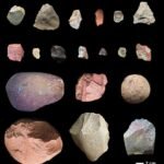 A New Discovery Might Have Just Rewritten Human History