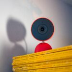 Gemini in Google Home Keeps Mistaking My Dog for a Cat