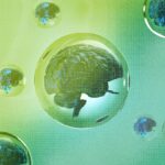 The 4 Things You Need for a Tech Bubble