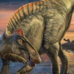 There’s a Dinosaur ‘Mummy Zone.’ Here’s What Scientists Found There.