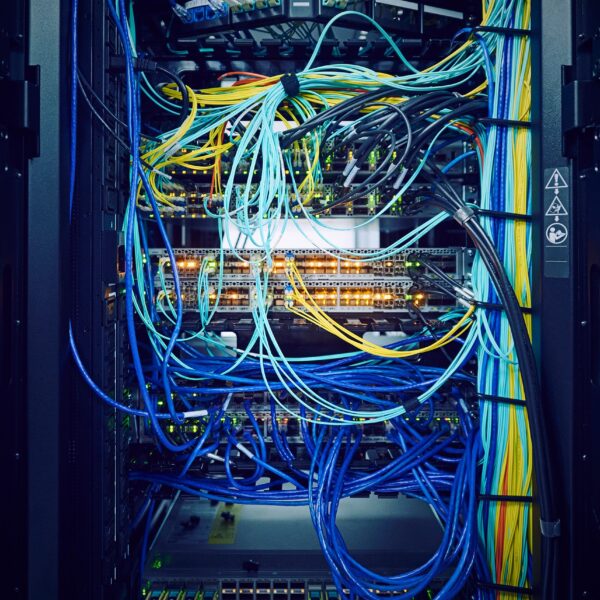 With the Rise of&hellip;