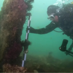 Scientists Discover Massive Underwater Ruins That May Be a Lost City of Legend