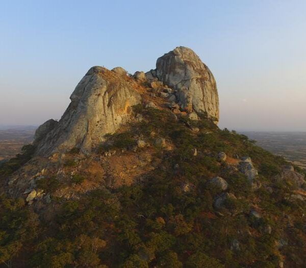 Scientists Discover One of&hellip;