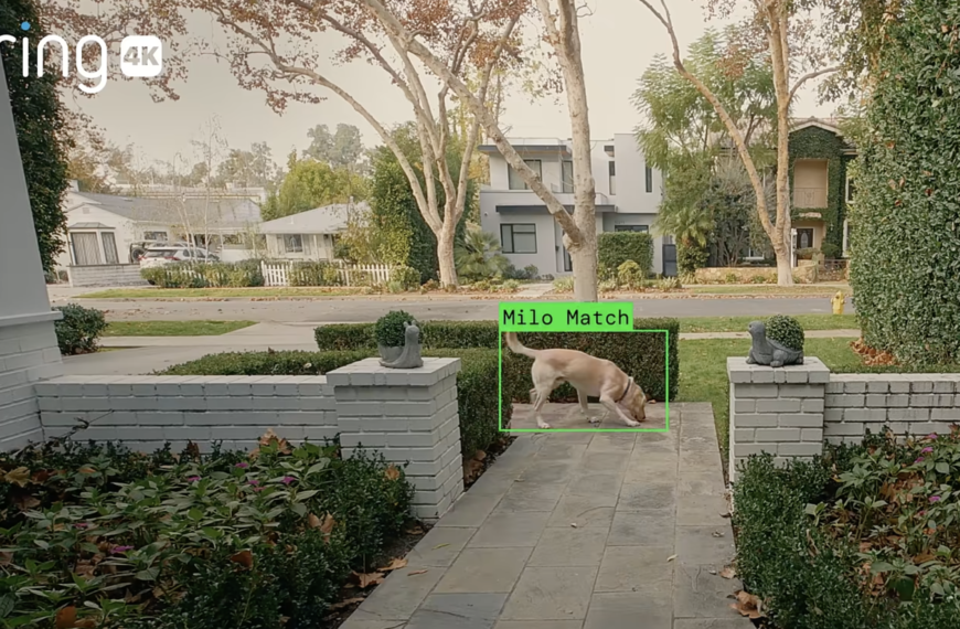 With Ring, American Consumers Built a Surveillance Dragnet