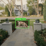 Leaked Email Suggests Ring Plans to Expand ‘Search Party’ Surveillance Beyond Dogs