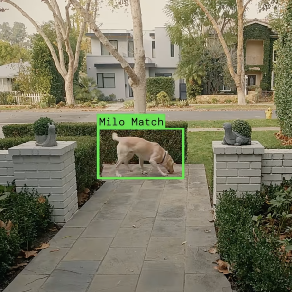 Leaked Email Suggests Ring Plans to Expand ‘Search Party’ Surveillance Beyond Dogs