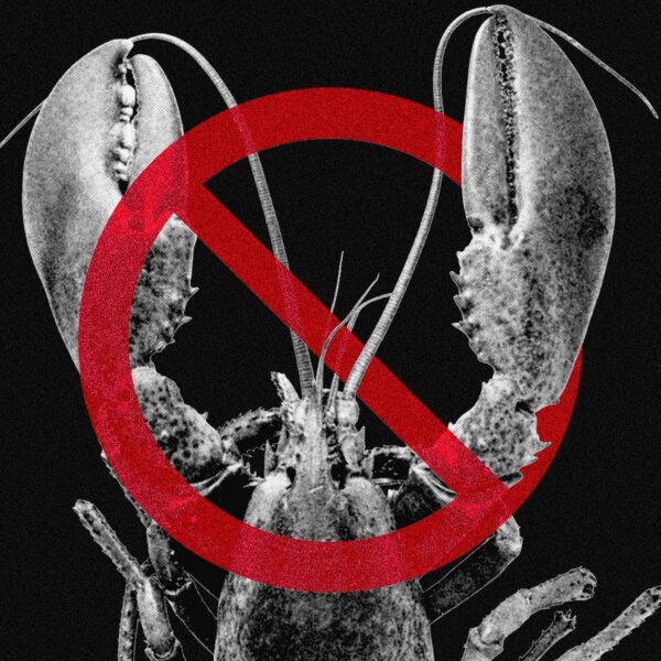 Meta and Other Tech&hellip;