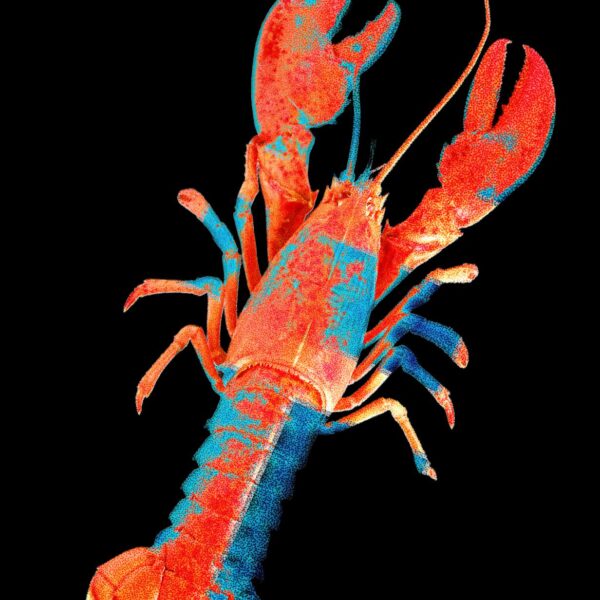 Moltbook, the Social Network&hellip;