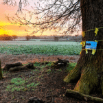 The Small English Town Swept Up in the Global AI Arms Race