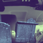 Behind the Blog: Using Your Brain