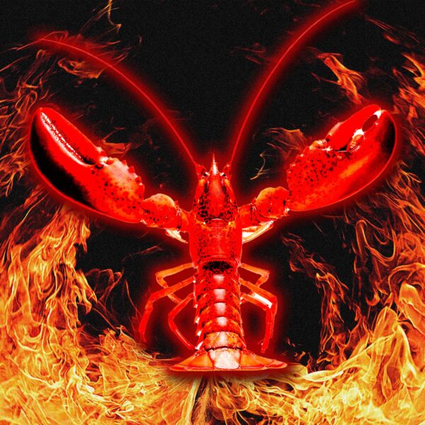 I Infiltrated Moltbook, the&hellip;