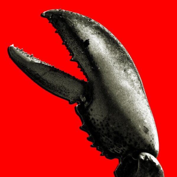 China’s OpenClaw Boom Is&hellip;