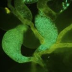 Why It’s Good to Jack Off Frequently, According to Science