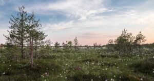 Claude Pro vs Claude API: Which Should You Use in 2026?