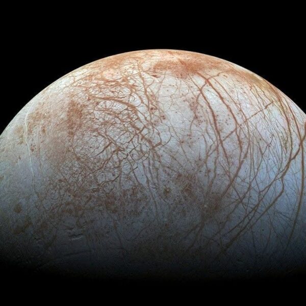‘Highly Plausible’ Aliens on&hellip;