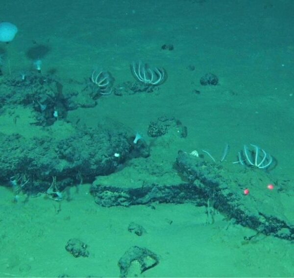 Scientists Discover Vast Ancient&hellip;