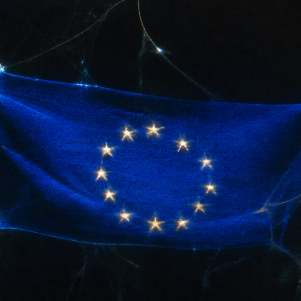 The EU doesn’t really&hellip;