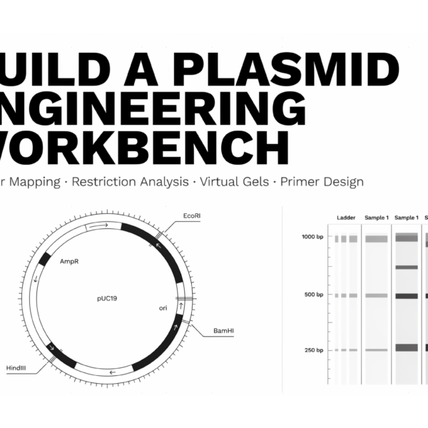 How to Build Plasmid&hellip;
