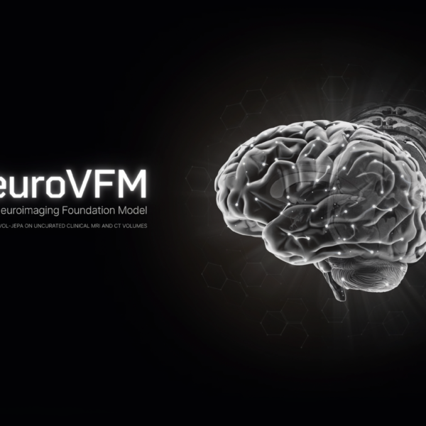 Meet NeuroVFM: A New&hellip;