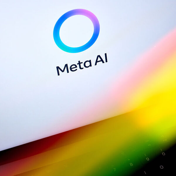 Meta, like SpaceX, looks&hellip;