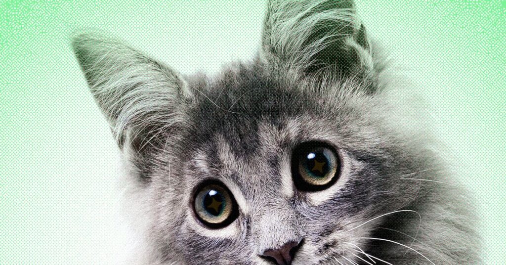 AI Slop Is Ruining Cute Animals on the Internet