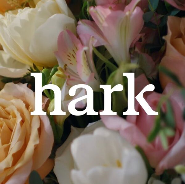 Hark previews its browser&hellip;