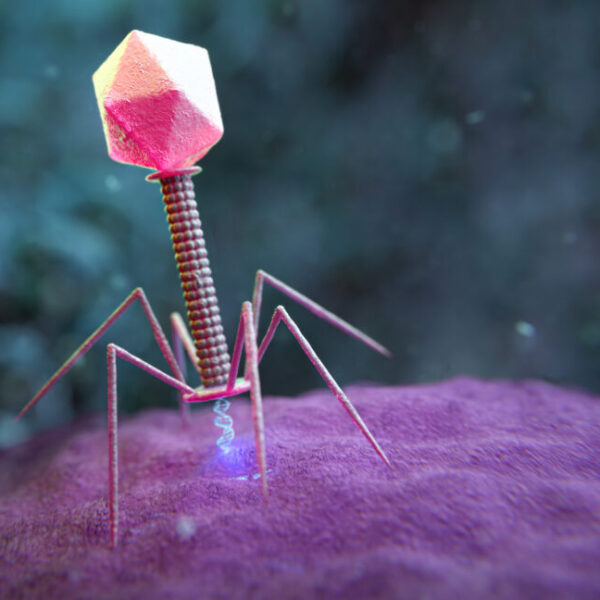 Large genome models used&hellip;