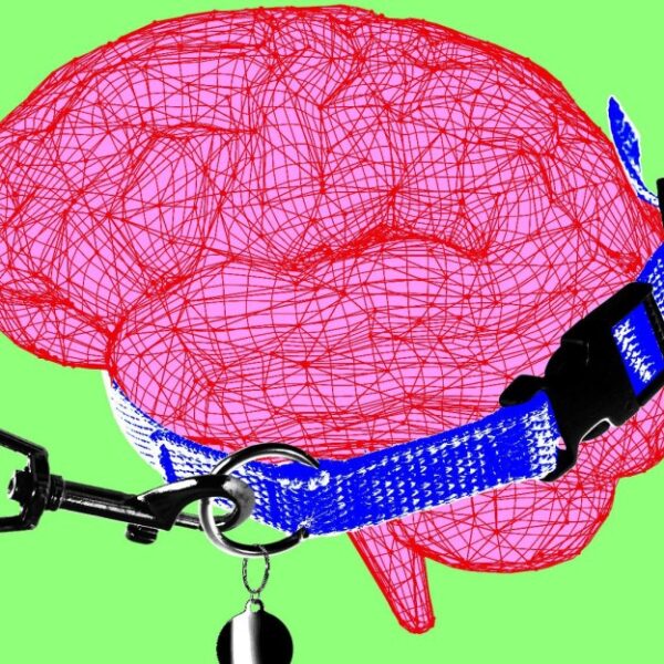 Trump’s AI testing plan&hellip;