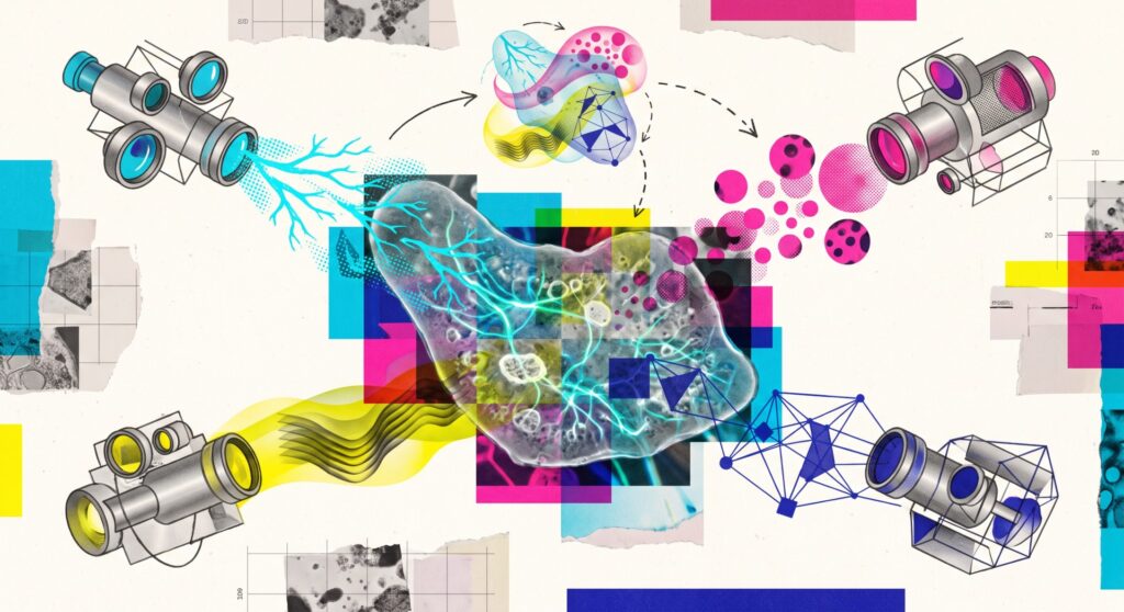 Researchers stretch LeCun’s JEPA AI into a universal world model that works from physics to biology