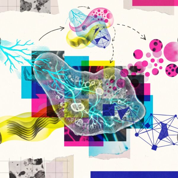 Researchers stretch LeCun’s JEPA&hellip;