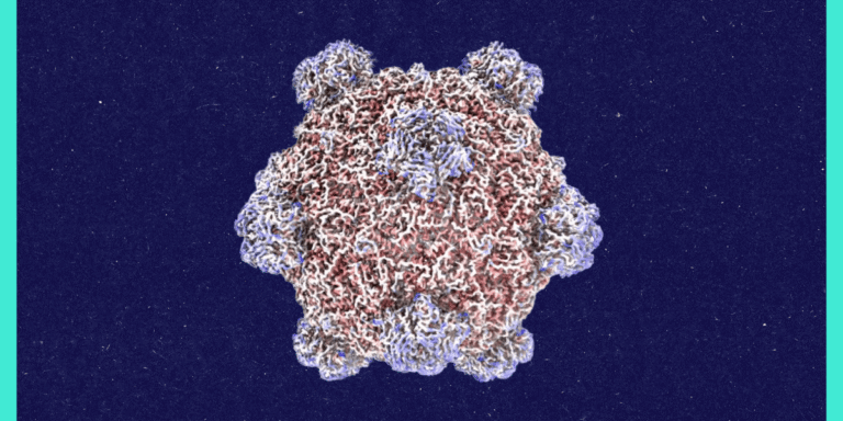 Roundtables: A Conversation With the Creator of AI-Designed Viruses