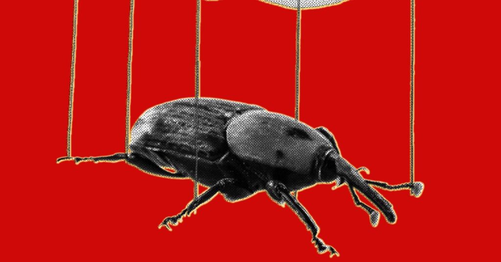 The PHP Meltdown Shows How AI Makes Bugs More Exploitable